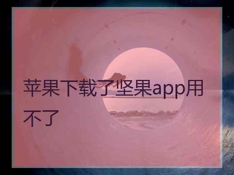 苹果下载了坚果app用不了